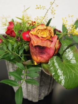 Blume